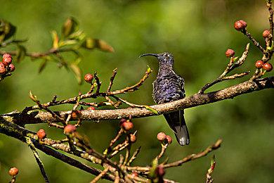 《命运2》承诺将降低刷取异域职业装备和勇者武器难度